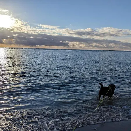 8 Person In Blavand-by Traum *